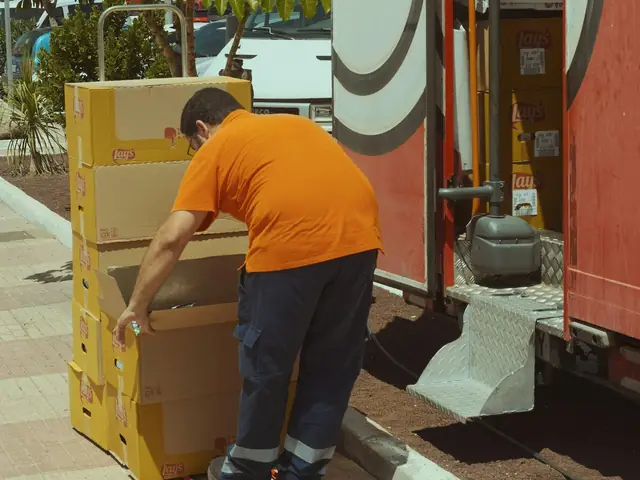 Mover loading boxes into a moving truck